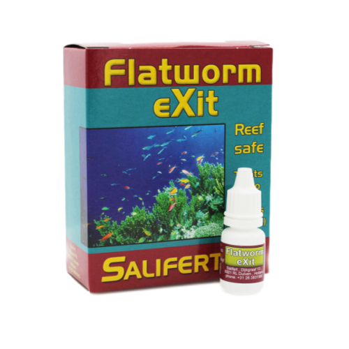 Flatworm Exit - RBM Aquatics  