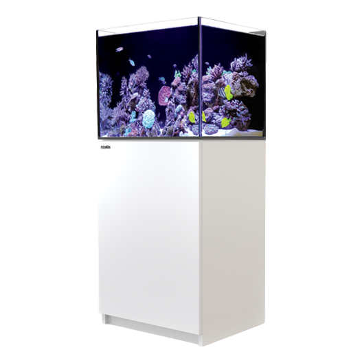 Red Sea Reefer 170 Complete System - White - RBM Aquatics  