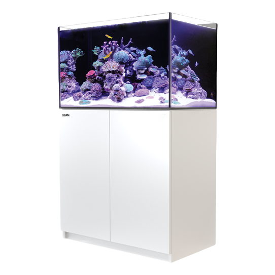 Reefer 250 Complete System - White V3 - RBM Aquatics  