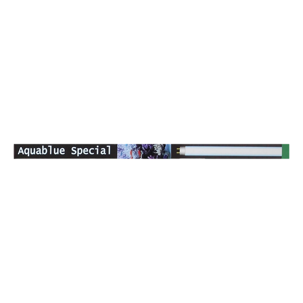 Ati T5 Aquablue Special Bulb 24W - RBM Aquatics  