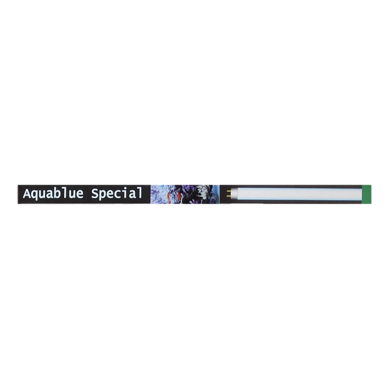 Ati T5 Aquablue Special Bulb 24W - RBM Aquatics  