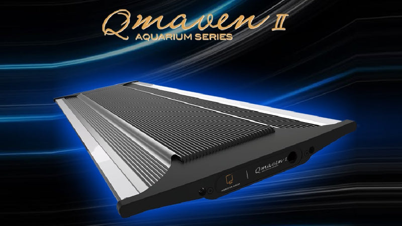 Zetlight Qmaven II 160W Led Light System With Wifi ZT6600WIFI - RBM Aquatics  